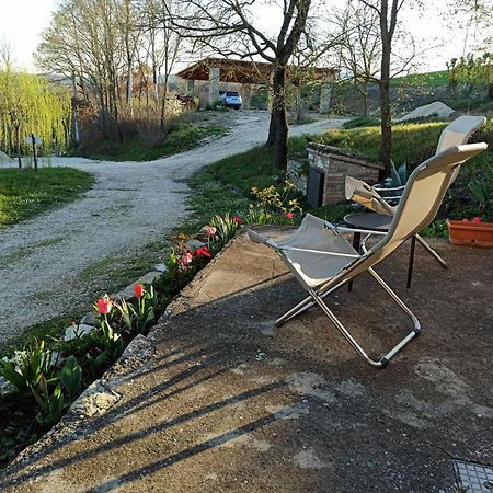 Agriturismo Casa Greppo San Venanzo Exterior photo