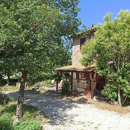 Agriturismo Casa Greppo San Venanzo Exterior photo