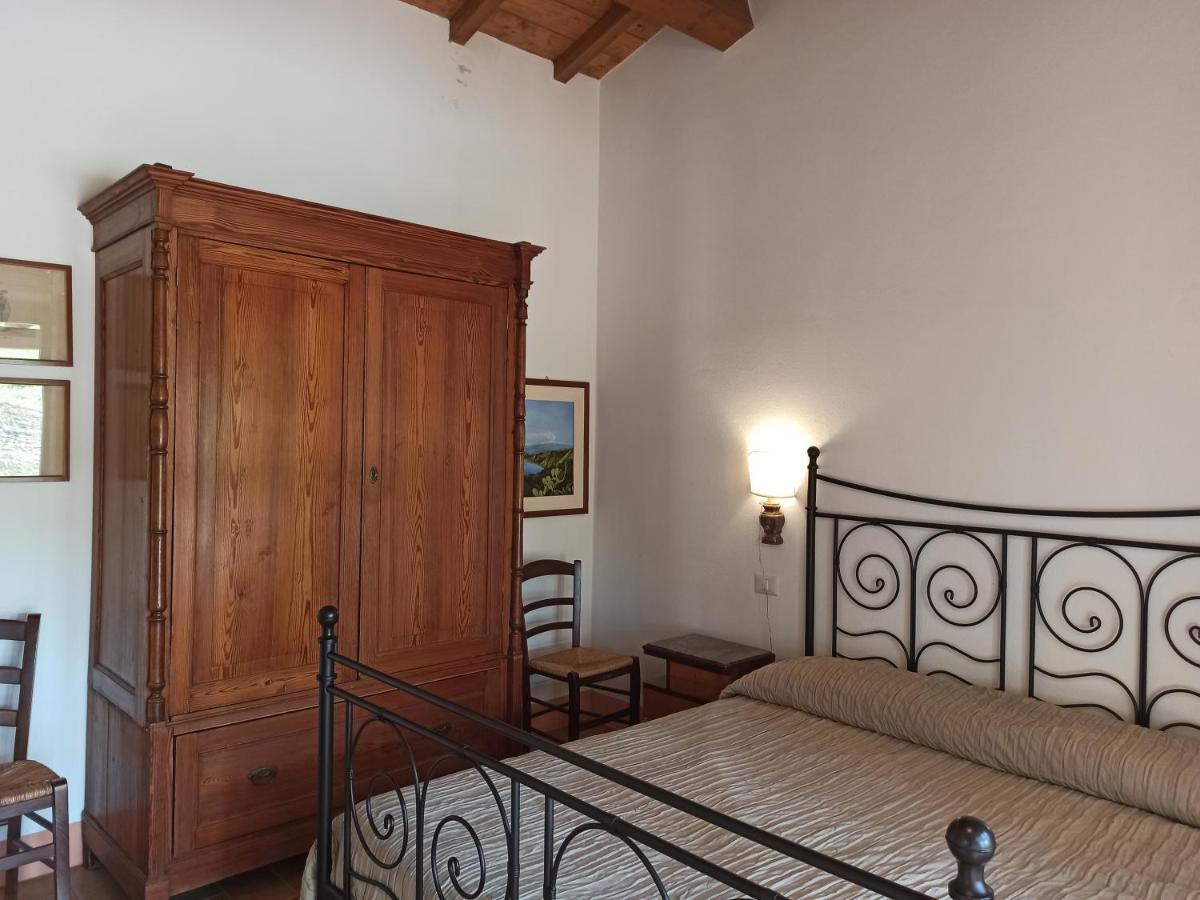 Agriturismo Casa Greppo San Venanzo Exterior photo