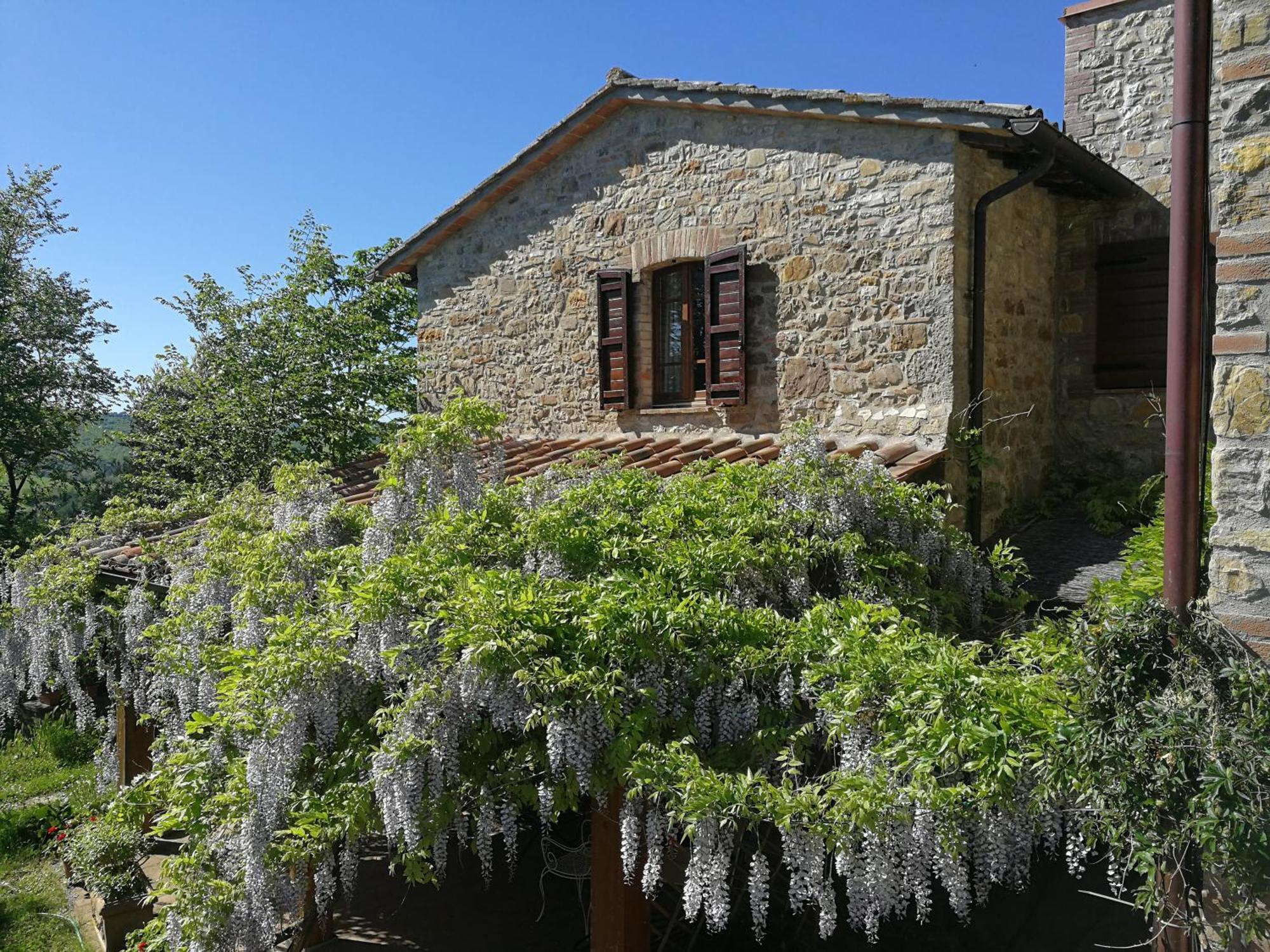 Agriturismo Casa Greppo San Venanzo Exterior photo