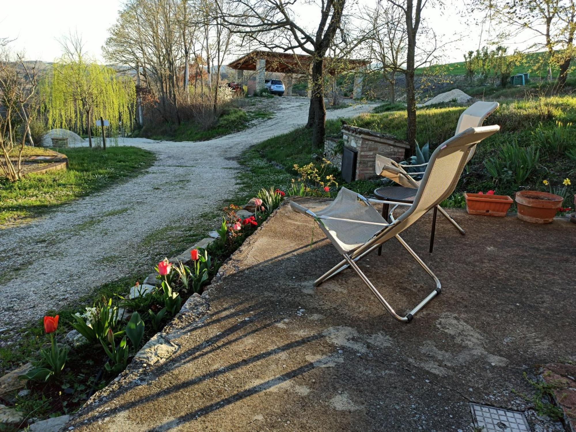 Agriturismo Casa Greppo San Venanzo Exterior photo